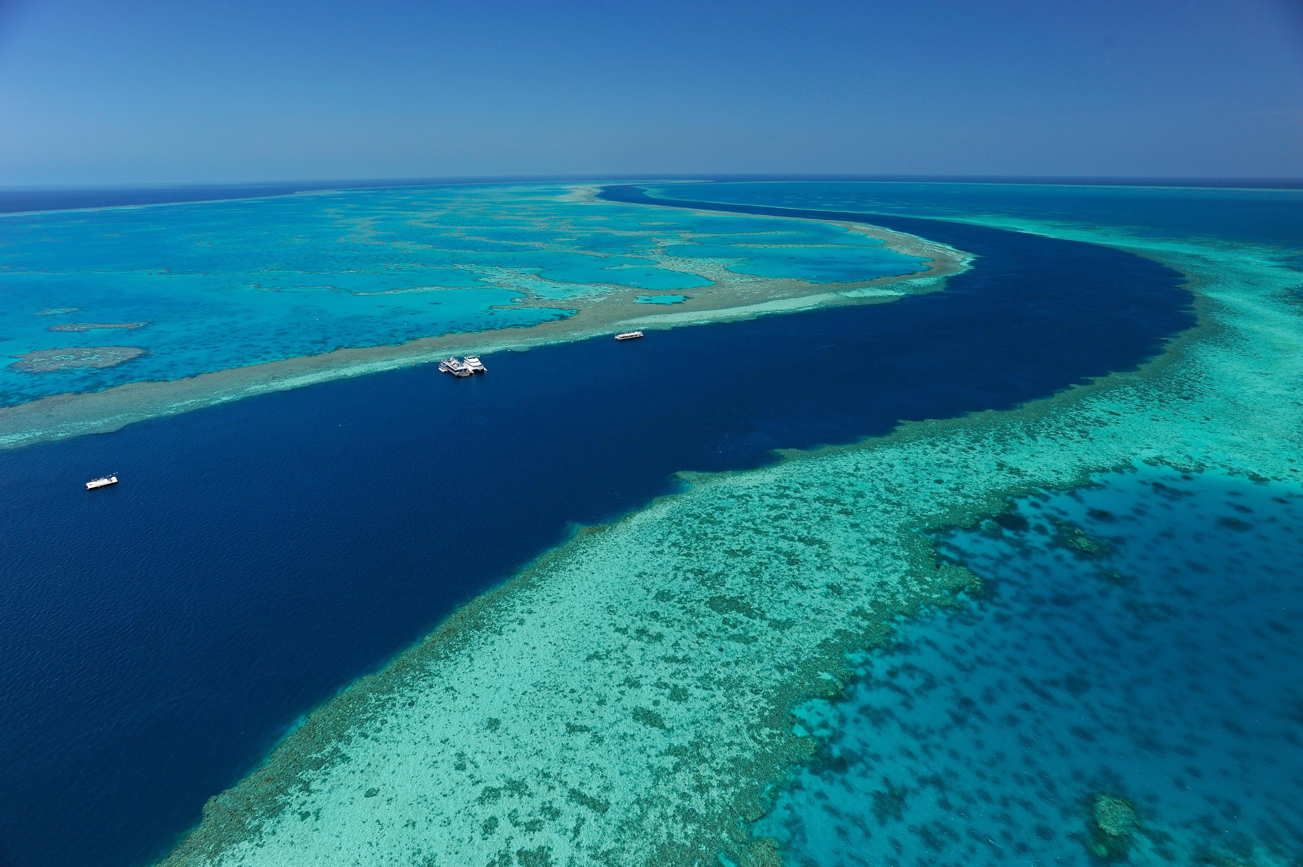 Reef View Hotel Hamilton Island Bagian luar foto